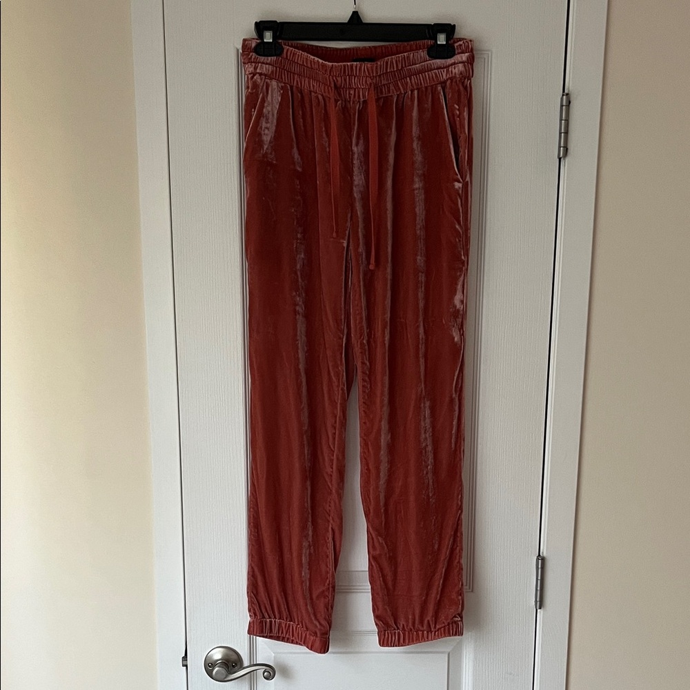 J.Crew Velvet Jogger Pants
